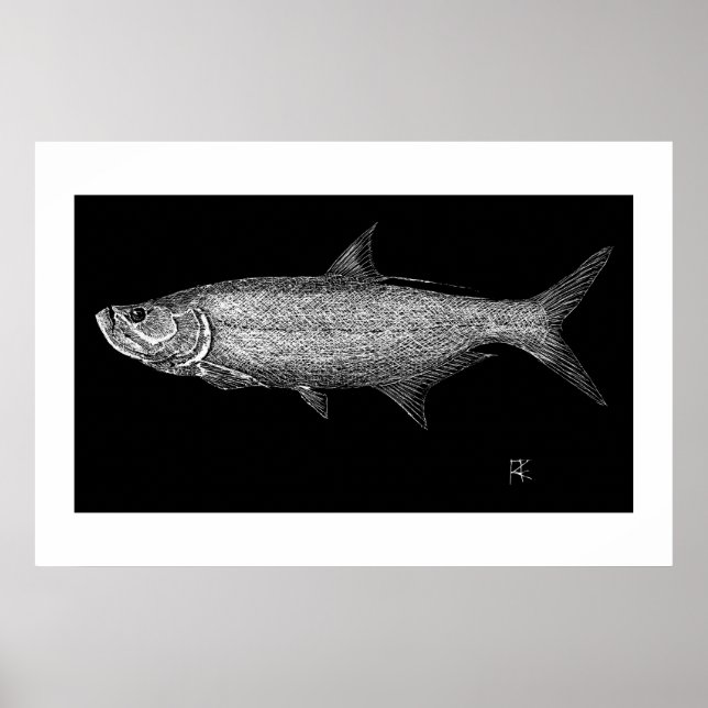 Tarpon Scratch art Poster (Framsidan)