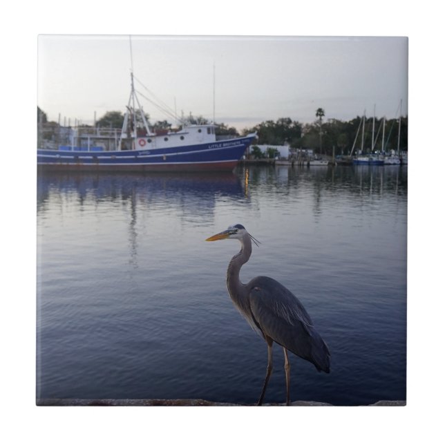 Tarpon Springs Kakelplatta (Framsidan)