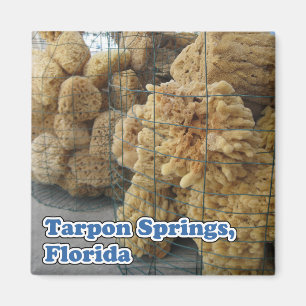 Tarpon Springs snyltar magneten Magnet