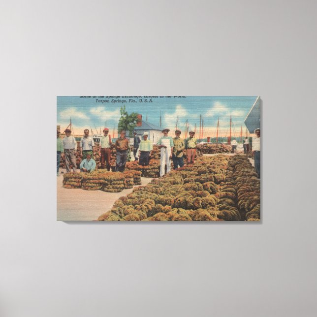 Tarpon Vår, FL - Scene of Sponge Exchange Canvastryck (Framsida)
