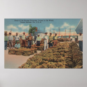 Tarpon Vår, FL - Scene of Sponge Exchange Poster