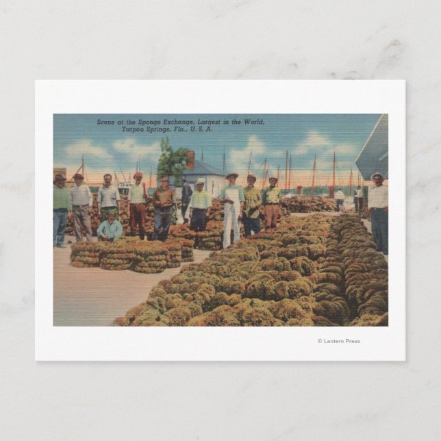 Tarpon Vår, FL - Scene of Sponge Exchange Vykort (Framsida)