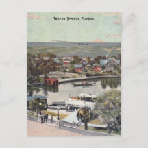 Tarpon Vår Florida Vintage Photo