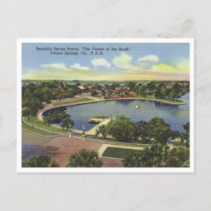 Tarpon Vår Florida Vintage Vår Bayou Vykort