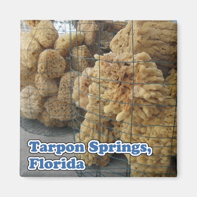Tarpon Vår Sponges Magnet (Framsidan)