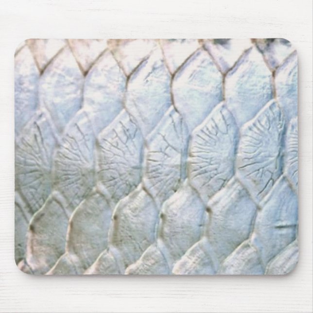 Tarpon vid PatternWear© Musmatta (Framsidan)