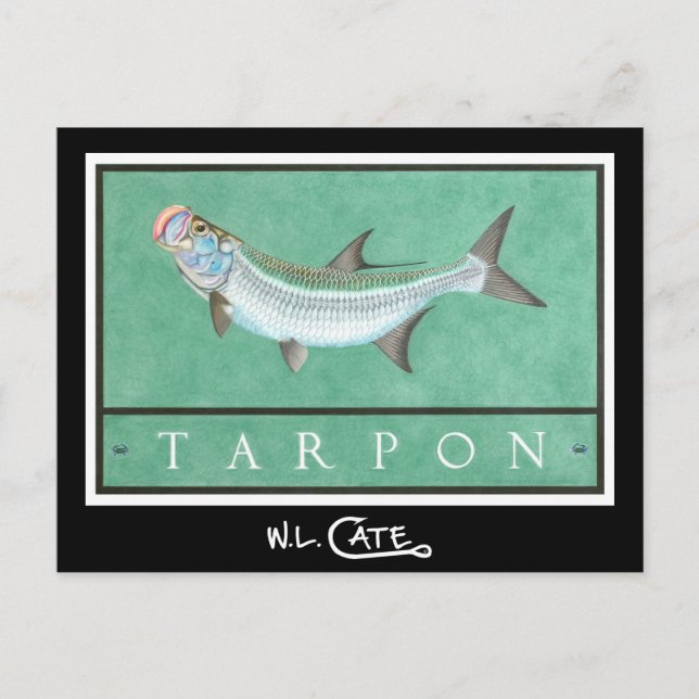 Tarpon-vykort Vykort (Framsida)