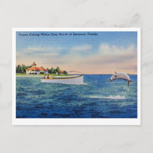 Tarponfiske i Florida Vykort