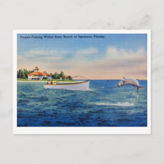 Tarponfiske i Florida Vykort