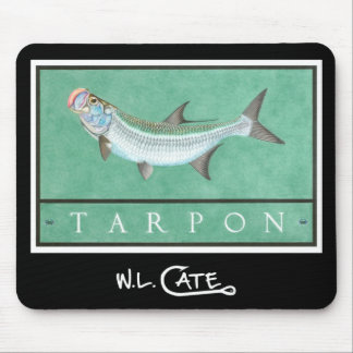Tarponmus mattor musmatta