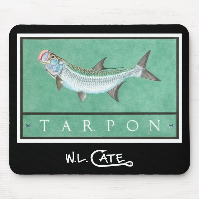 Tarponmus mattor musmatta (Framsidan)