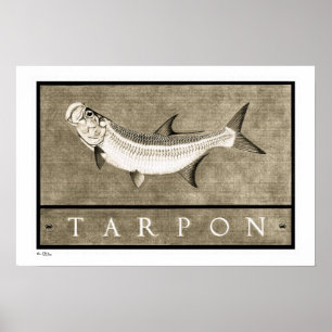 Tarponvintage B&W poster, tryck och ramar