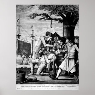 Tarring och befjädra poster