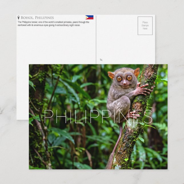 Tarsier i Bohol, Filippinerna vykort (Fram/baksida)