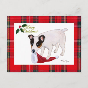 Tartan för jul för jackRussell Terrier Helg Vykort