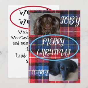 Tartan God Jul Husdjur Duo Blå Rutmönster Julkort