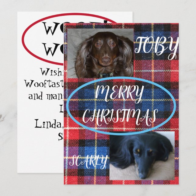 Tartan God Jul Husdjur Duo Blå Rutmönster Julkort (Fram/baksida)