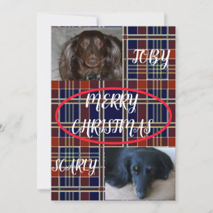 Tartan God Jul Husdjur Duo Plaid Julkort