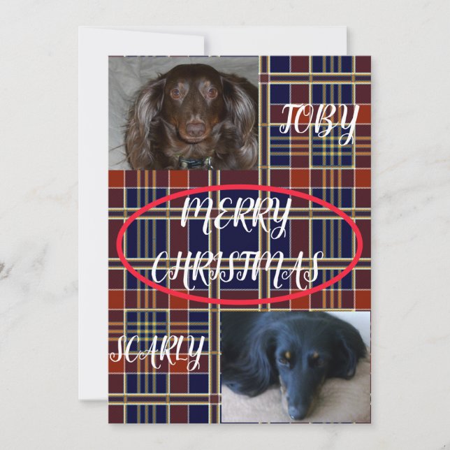 Tartan God Jul Husdjur Duo Plaid Julkort (Framsida)