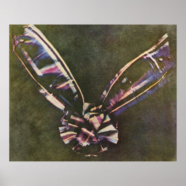 Tartan Ribbon First Known Färg Photograph Poster (Framsidan)
