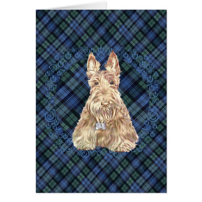 Tartan Scottie Hälsningskort (Framsidan)