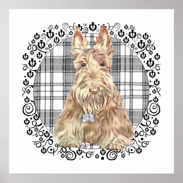 Tartan Scottie Svart & Vit Poster (Framsidan)