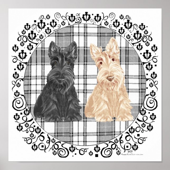 Tartan Scotties Poster (Framsidan)