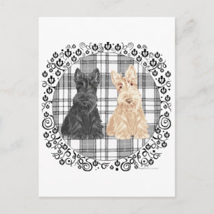 Tartan Scotties Vykort