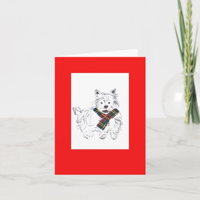 Tartan Scotty Kort (Framsida)