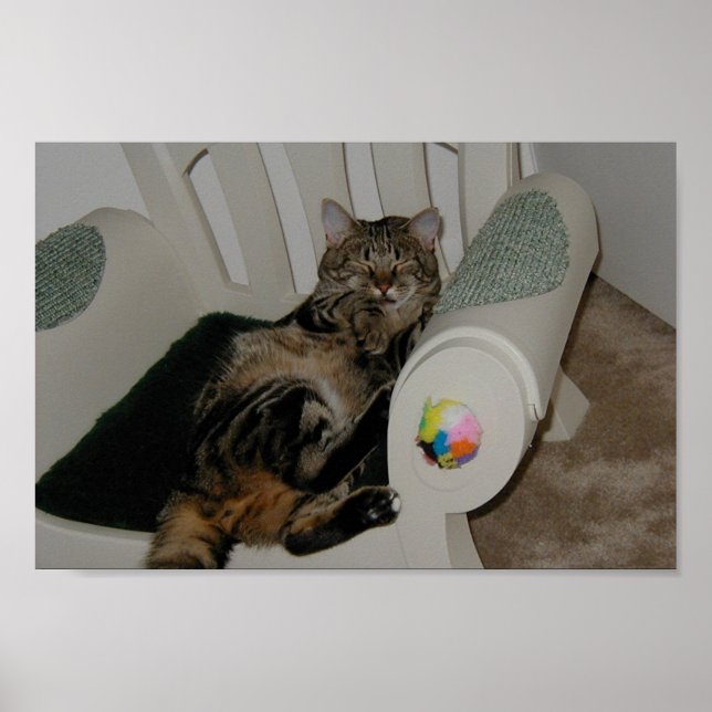 Tasha Bear Poster (Framsidan)