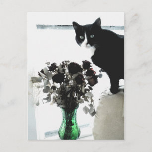 Tasha Tuxedo Cat Vykort