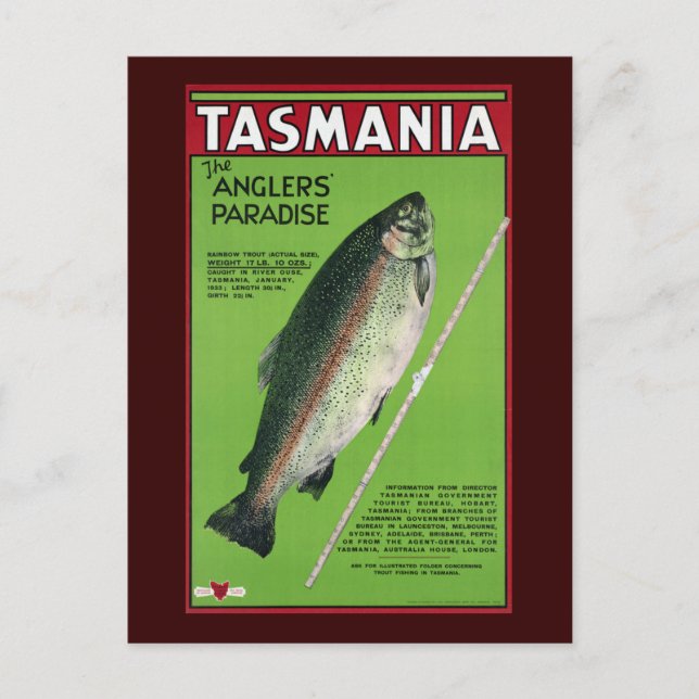 Tasmania ~ Anglers paradise Vykort (Framsida)