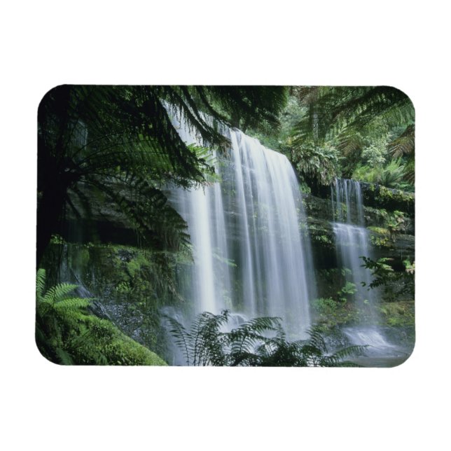 Tasmania, Mt. Fält nationalpark, Russell Falls Magnet (Horisontell)