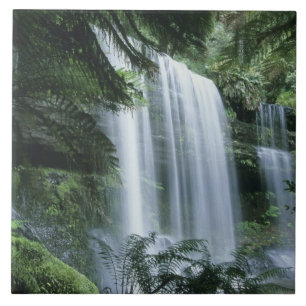 Tasmania, Mt. Field nationalpark, Russell Falls Kakelplatta
