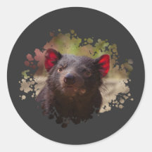 Tasmanian Djävulen