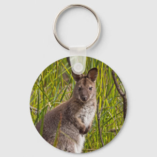 Tasmanian Pademelon Nyckelring