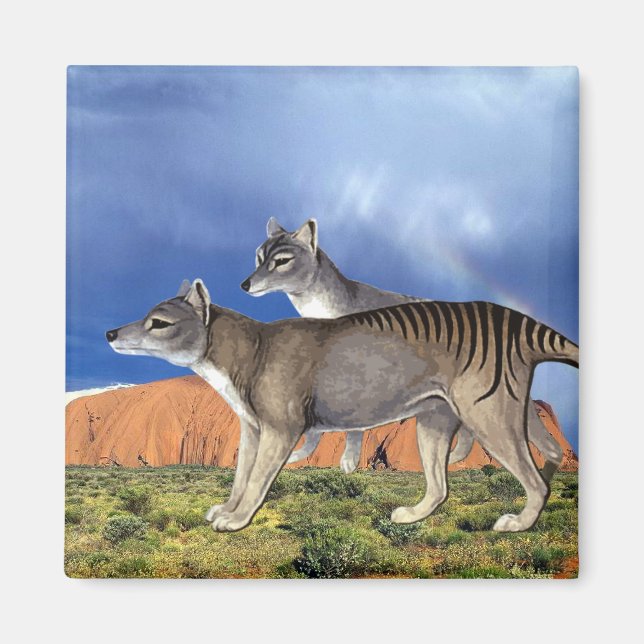 Tasmanian Tiger Magnet (Framsidan)