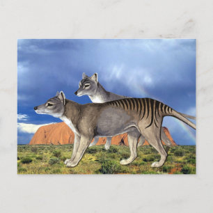 Tasmanian Tiger Postkort Vykort