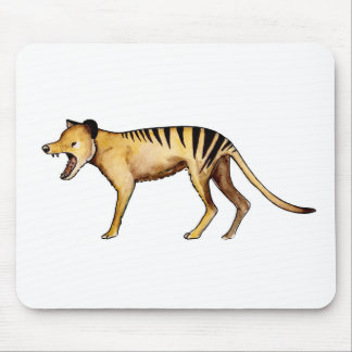 Tasmanian tiger, Thylacine Musmatta