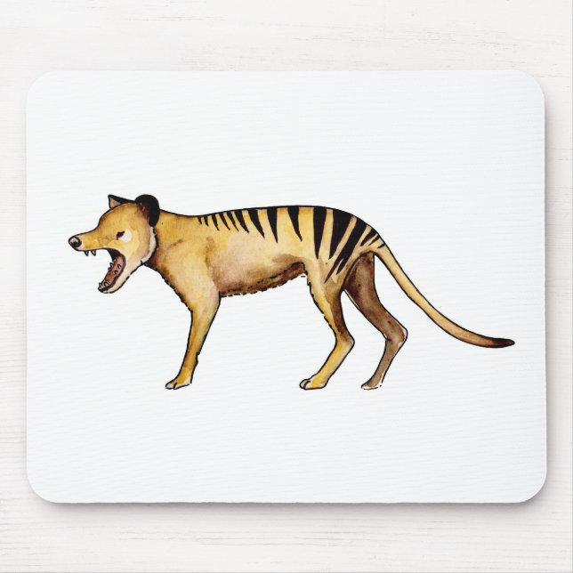 Tasmanian tiger, Thylacine Musmatta (Framsidan)