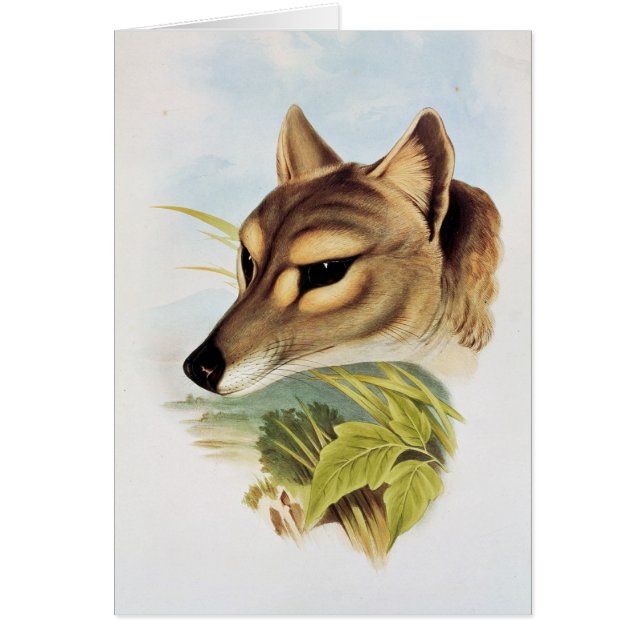 Tasmanian varg eller tiger hälsningskort (Framsidan)