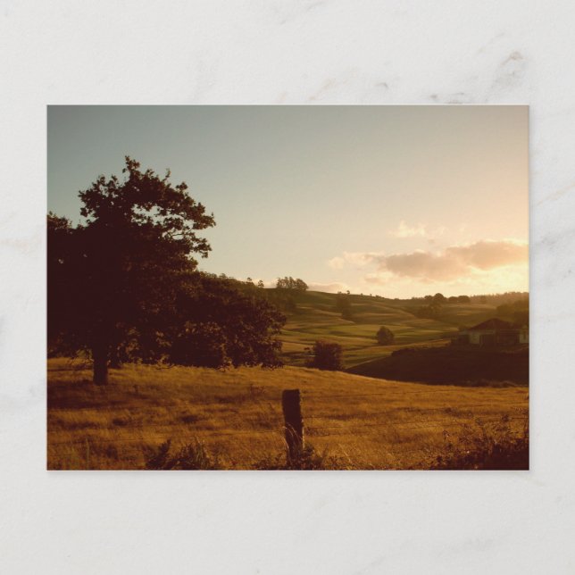 Tasmaniansk sommarsolnedgång vykort (Framsida)