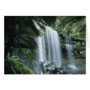 Tasmanien, Mt. Field nationalpark, Russell Falls Hälsningskort