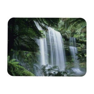 Tasmanien, Mt. Field nationalpark, Russell Falls Magnet