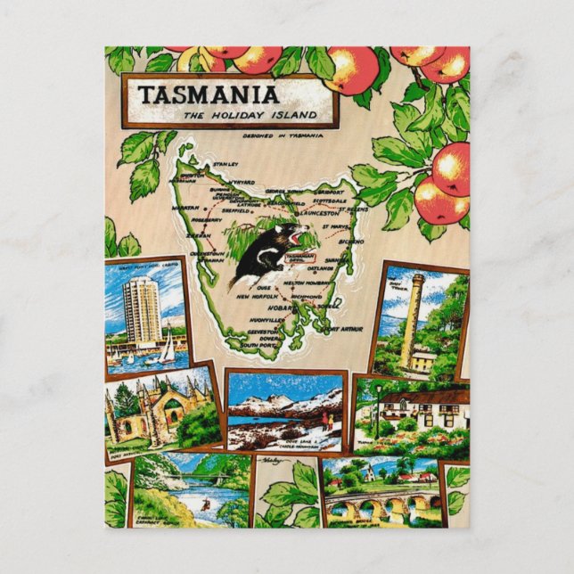 Tasmanien Semester Ö Postkort Vykort (Framsida)