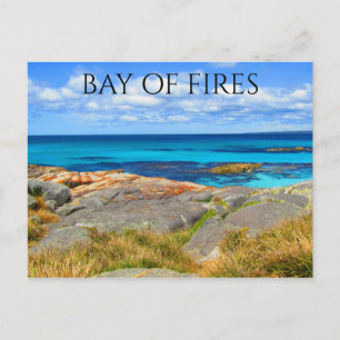 tasmaniskt brandfack vykort