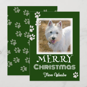 Tass avtryck God jul Hund fotokort