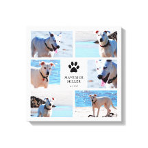 Tass avtryck - Hund fotokollage