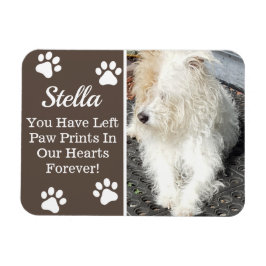 Tass avtryck i hjärtat, förlust av sällskapsdjur magnet