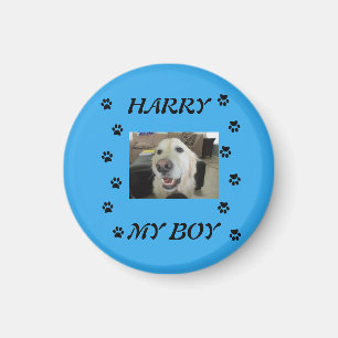 Tass avtryck med 1 Pets Foto och Namn Magnet